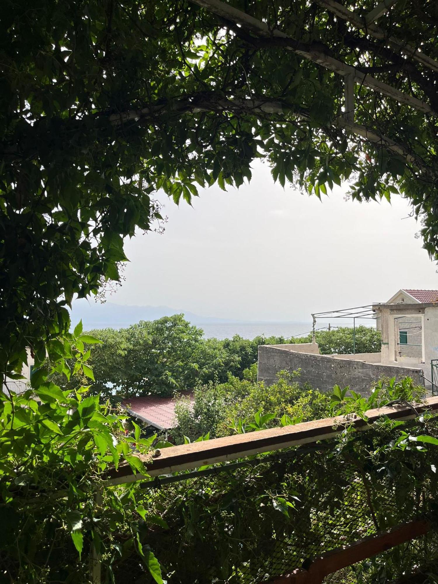 Apartmani Ankora Brist Szoba fotó